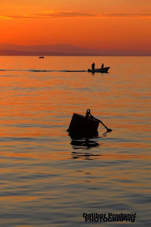 Dalibor * Senj (Lika-Senj)